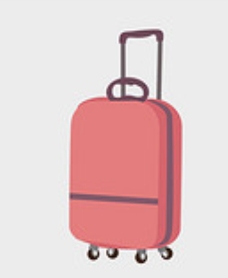 luggage 699
